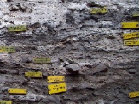 <p>Sediments containing ancient mattresses at Sibudu Caves. Photo by Lyn Wadley. (Click on image to view larger.)</p>