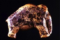 <p>37mm long, 7.5 gram figurine, made from mammoth ivory is some 35,000 years old. It is one of the oldest pieces of art ever found. Photo: Universität Tübingen. (Click on image to view larger.)</p>