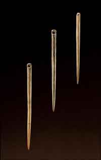 Photocredit: Chip Clark, Smithsonian Institution. (View Larger)