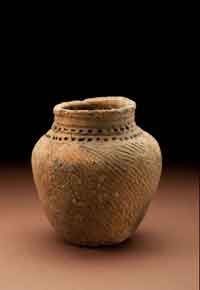 Photocredit: Chip Clark, Smithsonian Institution. (View Larger)