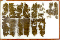 Fragments of the Ramesseum Papyrus.
