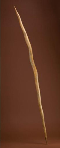 One of three spears found at Schöningen, Germany in 1995. Photocredit: Chip Clark, Smithsonian Institution. (View Larger)