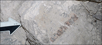 A vertical, columnar stone inscription roughly six inches long. Image: Boris Beltrán/Science. (View Larger) 