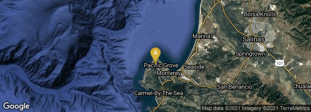 Detail map of Pacific Grove, California, United States